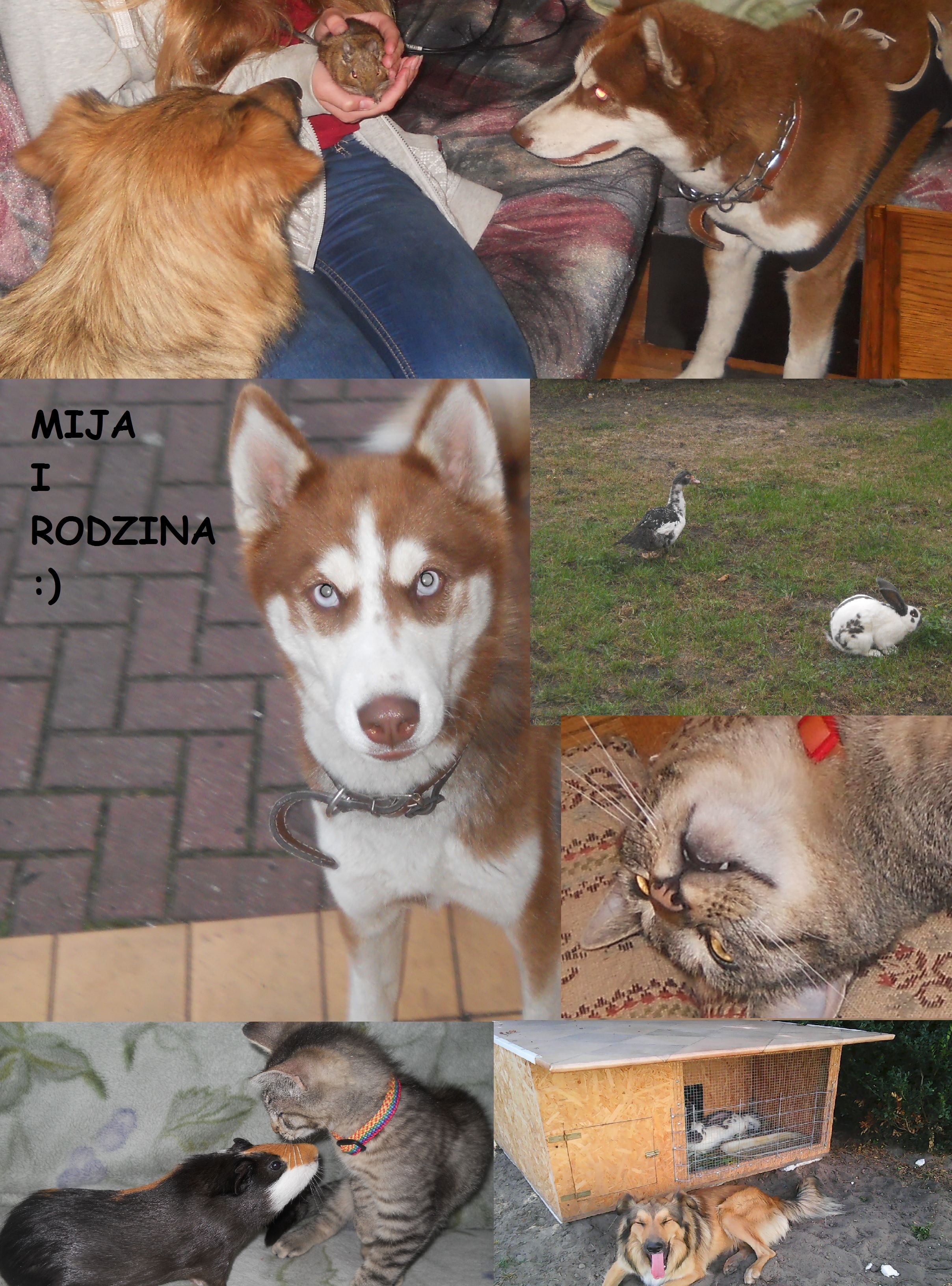 Mija i przyjaciele